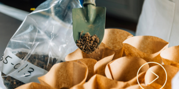 paper bags for collecting soil